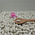 NEW CROP SMALL white kidney beans Long Shape